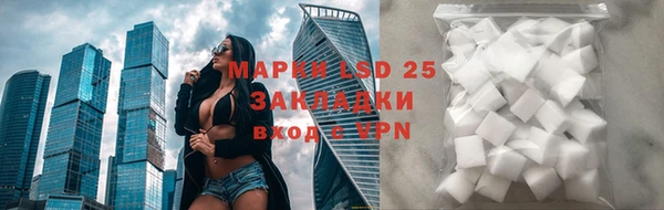 спайс Аркадак