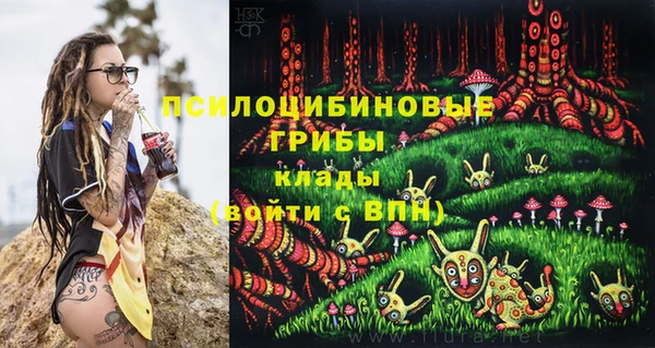 гидропоника Армянск