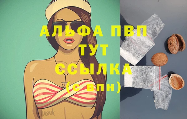 спайс Аркадак
